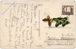 ak181134a Balatonrol, Ansicht