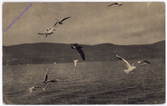 Balatonon, Ansicht