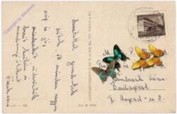 Matrafüredröl, Ansicht