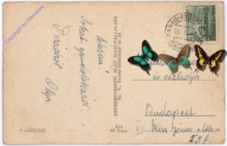 ak181173a Paradrol, Ansicht