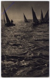 Balatonon, Ansicht