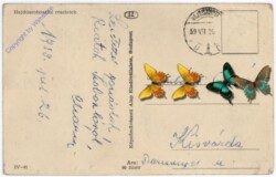 Hajduszoboszloi, Ansicht