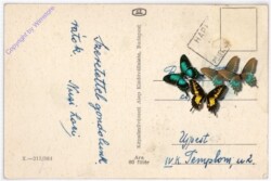 Harkanyfürdö, Ansicht