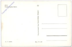 ak181190a Pecs, Ansicht