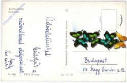 Matrafüred, Ansicht