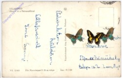 Lillafüred, Ansicht