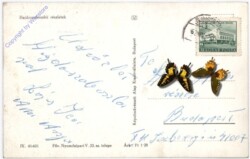 Hajduszoboszlo, Ansicht