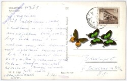 Lillafüred, Ansicht