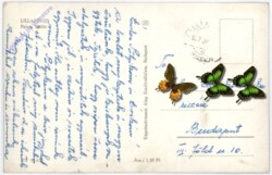 Lillafüred, Ansicht