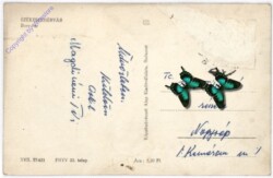 Szekesfehervar, Ansicht