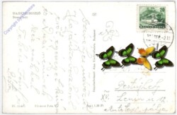 Hajdüszoboszlo, Ansicht