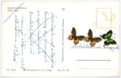 Hajdüszoboszlo, Ansicht