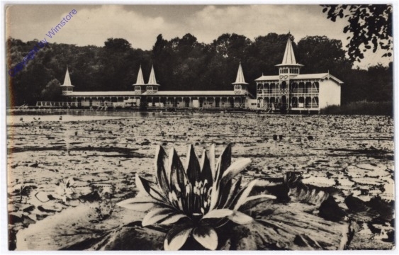 ak181270 Heviz, Ansicht