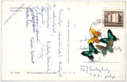 Hajduszoboszlo, Ansicht