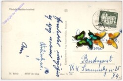 Hajduszoboszlo, Ansicht