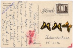ak181323a Budapest, Ansicht