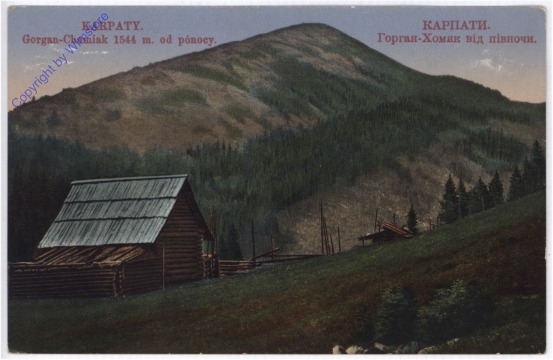 ak181399 Karpaty, Gorgan-Chomiak