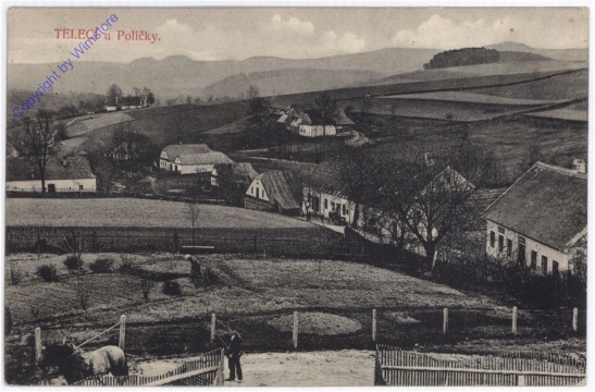 ak181480 Teleci u Policky