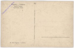 ak181499a Lednice (Eisgrub), Ansicht