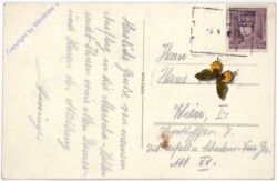 ak181501a Macocha, Husuv pomnik