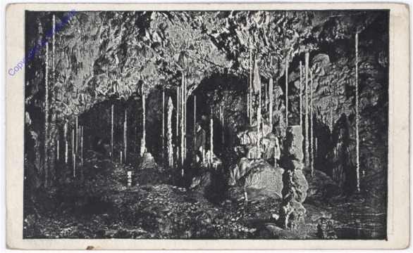 ak181515 Macocha, Tropfsteinhöhle, Tropfsteinwäldchen