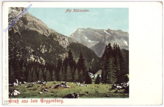 ak181642 Toggenburg, Gruss aus