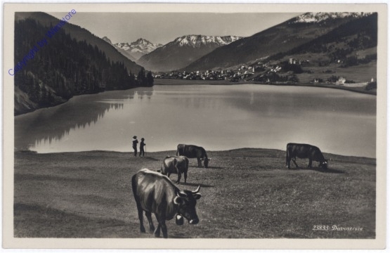 Davosersee, Ansicht