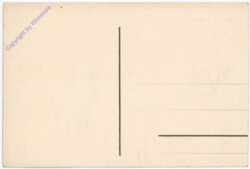 ak181703a Mont Rosa und Dufourspitze