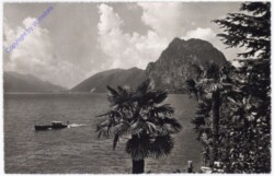 ak181730 Lugano, Monte S. Salvatore