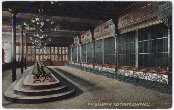 Blackpool, The Menagerie, the tower