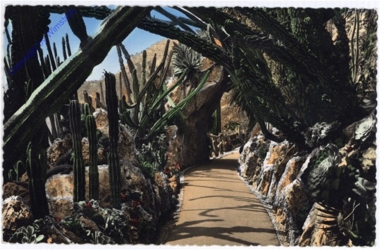 Monaco, Monte-Carlo, Le Jardin Exotique
