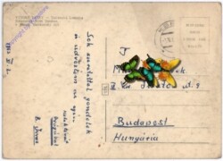 Vysoke Tatry, Ansicht