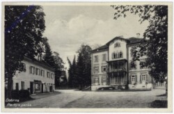 Dobrna, Partij iz parka