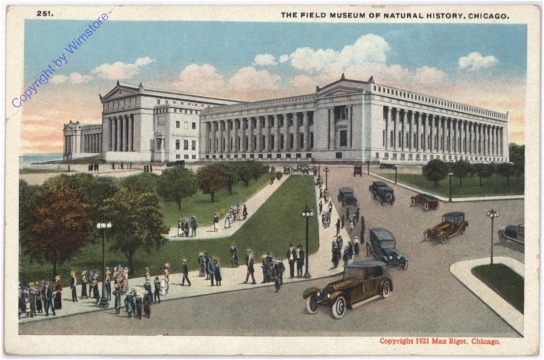 ak182041 Illinois: Chicago, The Field Museum of Natural History