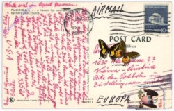 Kalifornien: Florida