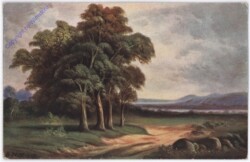 Der Weg am Wäldchen vorbei
