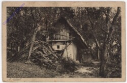 Im Grün vergraben