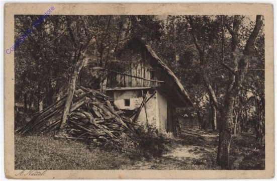 Im Grün vergraben