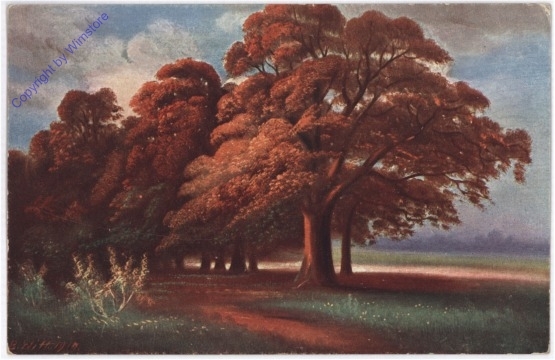Waldweg