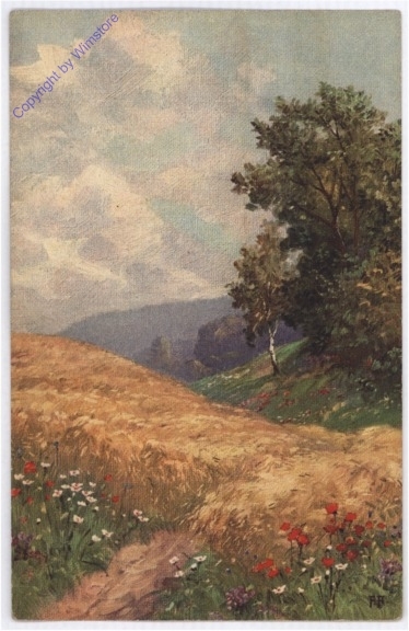 Wiesen und Felder