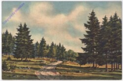 ak182241 Waldweg