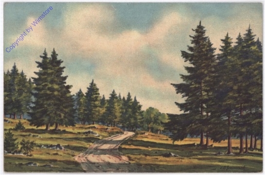 Waldweg