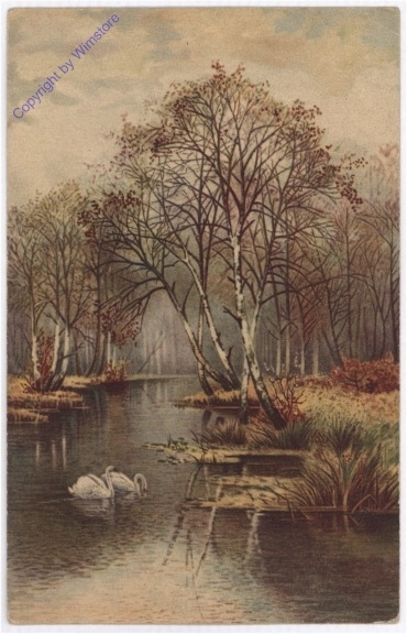 Schwäne am See