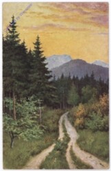 Waldweg