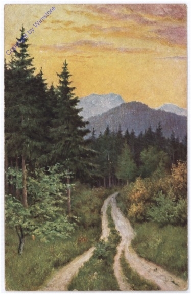Waldweg