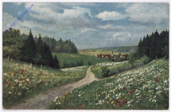 ak182265 Feldweg ins Dorf