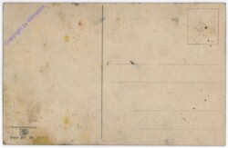 ak182266a Birken am Wegesrand