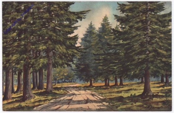 Waldweg