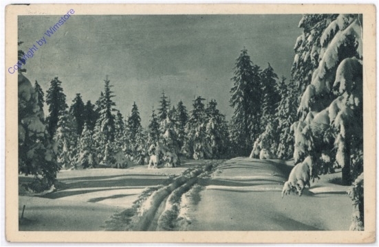 Winterlandschaft