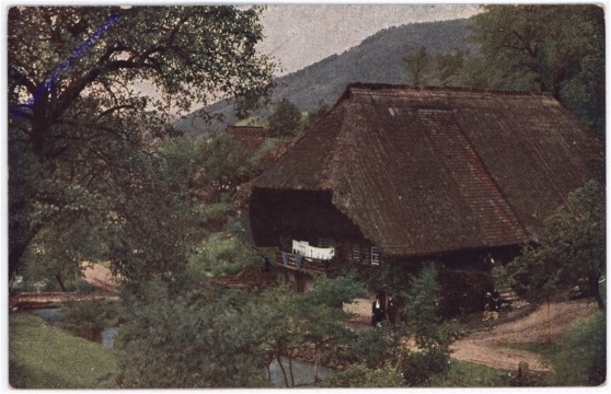Almwirtschaft